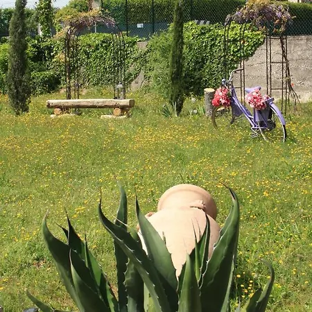 Rossella Con Piscina Affittacamere 4*