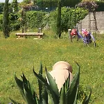 Rossella Πανσιόν 4*